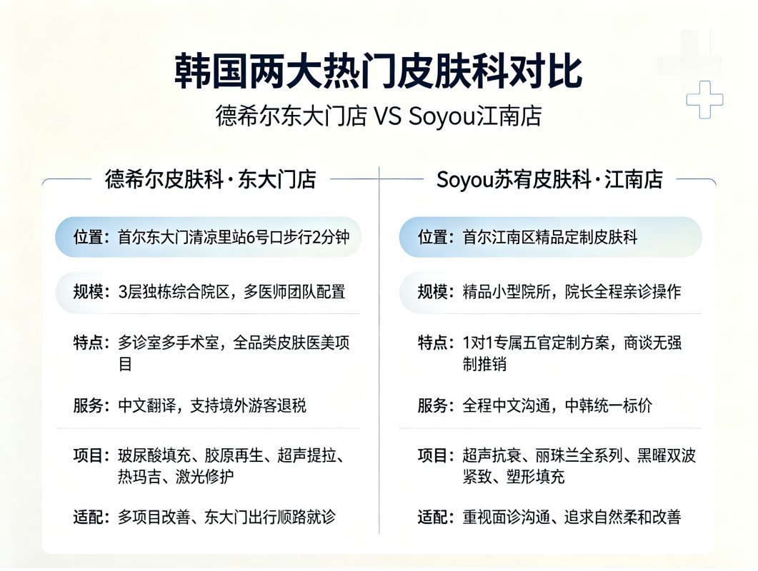 THE HEAL Dongdaemun vs. Soyou Dermatology: Which One to Choose? Scale, Pricing, and Doctors Explained 1 THE HEAL Dongdaemun vs. Soyou Dermatology: Which One to Choose? Scale, Pricing, and Doctors Explained