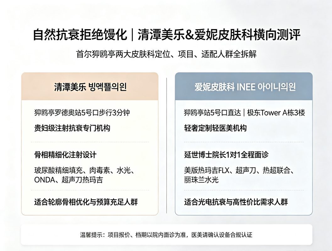 Want Natural Anti‑Ageing Without the Overfilled Look? Cheongdam Belle vs. INEE – Which One Understands You Better? 1 Want Natural Anti‑Ageing Without the Overfilled Look? Cheongdam Belle vs. INEE – Which One Understands You Better?